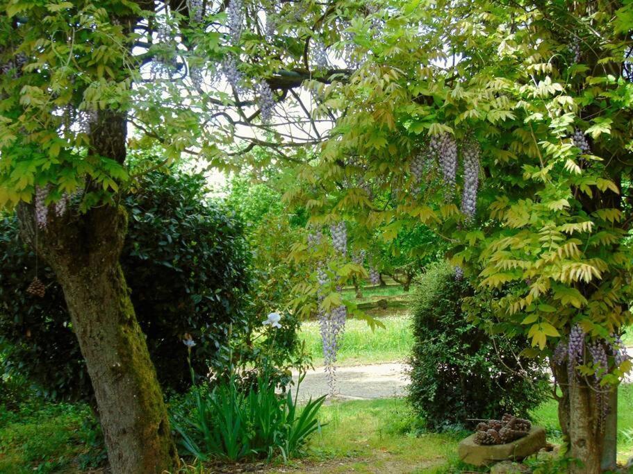 Mirathe Villa Baleyssagues Buitenkant foto